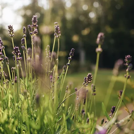 La De La Mirande * Namur